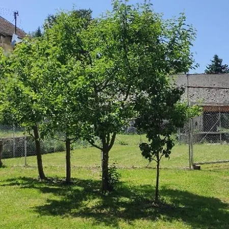 Homestay szállás Zemedelska Usedlost Albrechtice *