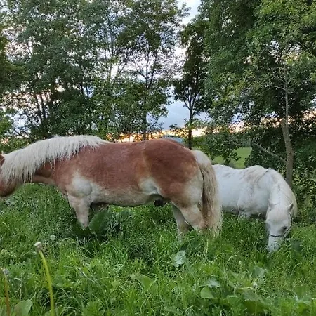 Zemedelska Usedlost Albrechtice Homestay szállás Sušice