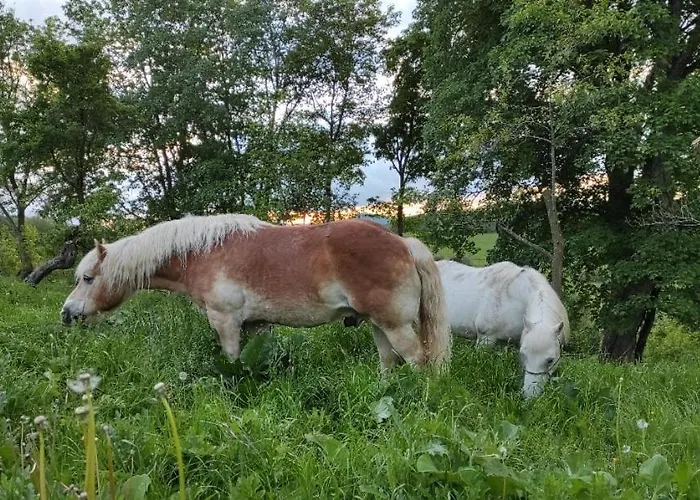Zemedelska Usedlost Albrechtice Pansiyon Sušice